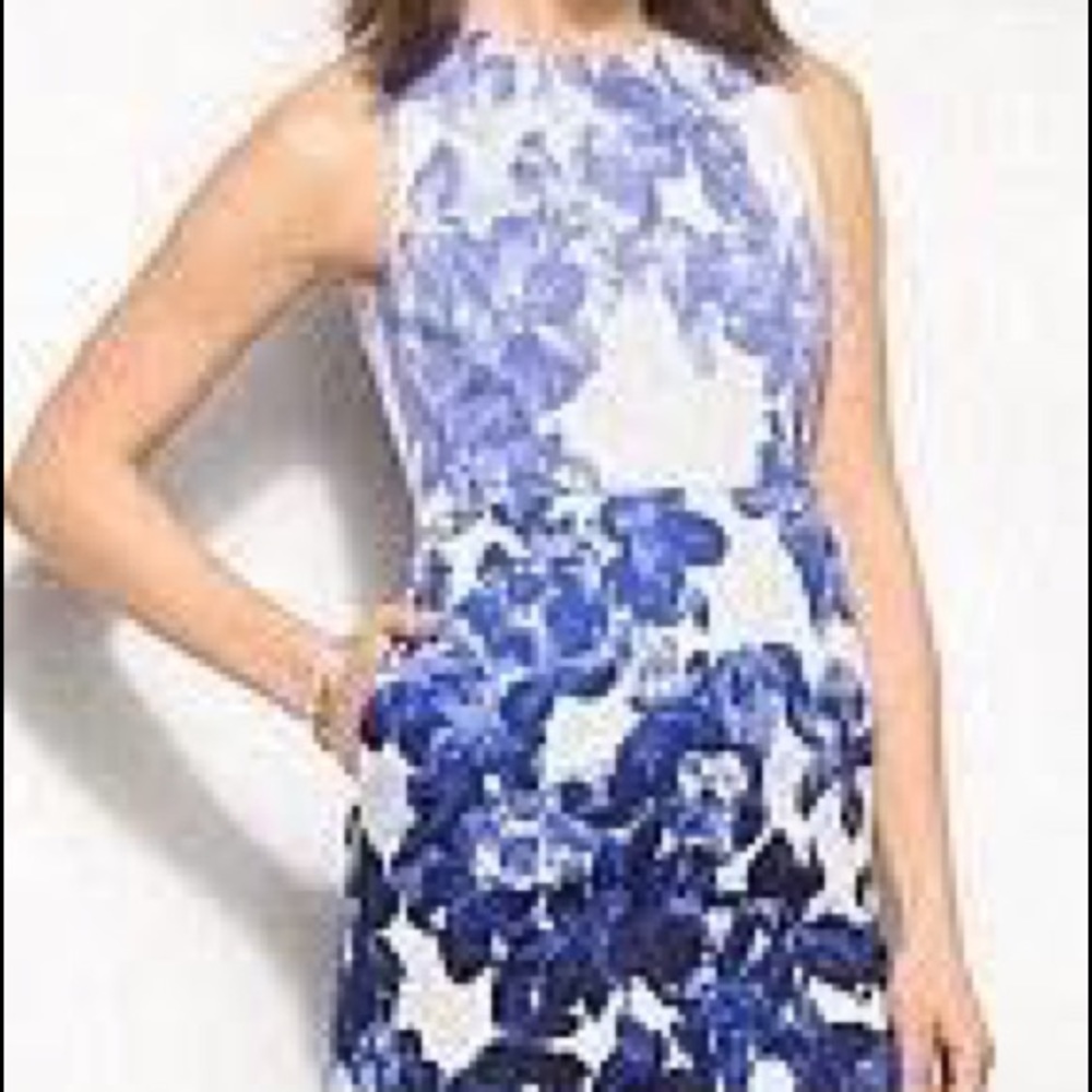 DressBarn Dress